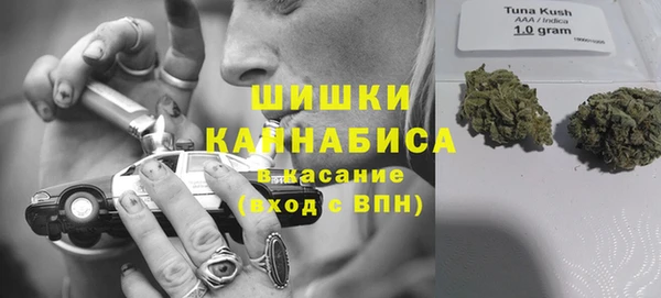 молекула духа Михайлов