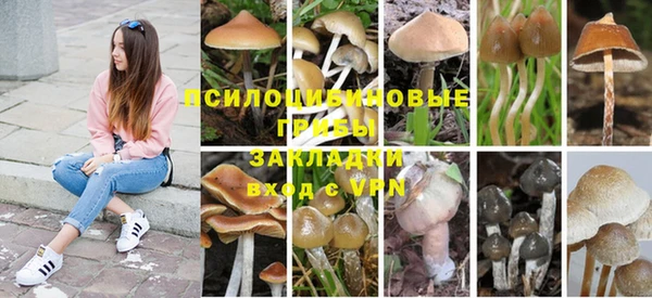 марихуана Михайловск