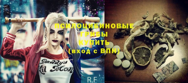 молекула духа Михайлов