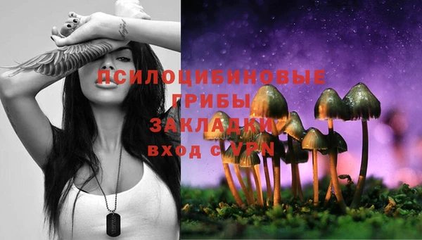 хмурый Михайловка