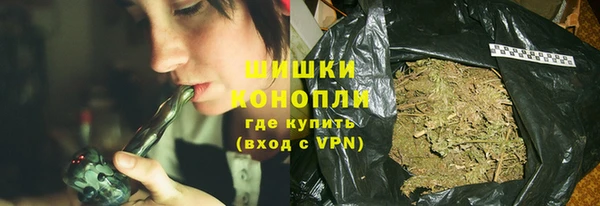молекула духа Михайлов